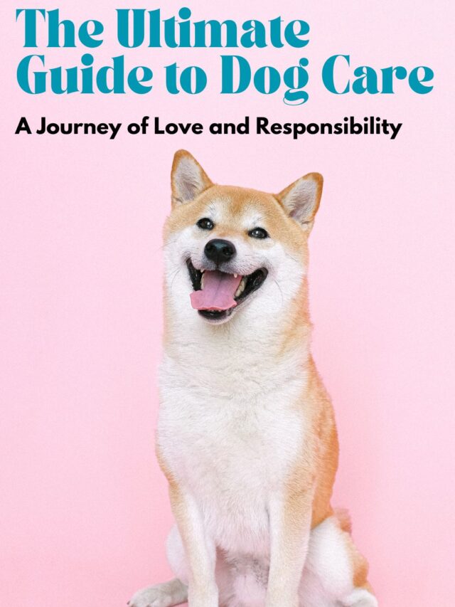 The Ultimate Guide to Dog Care: A Journey of Love and Responsibility