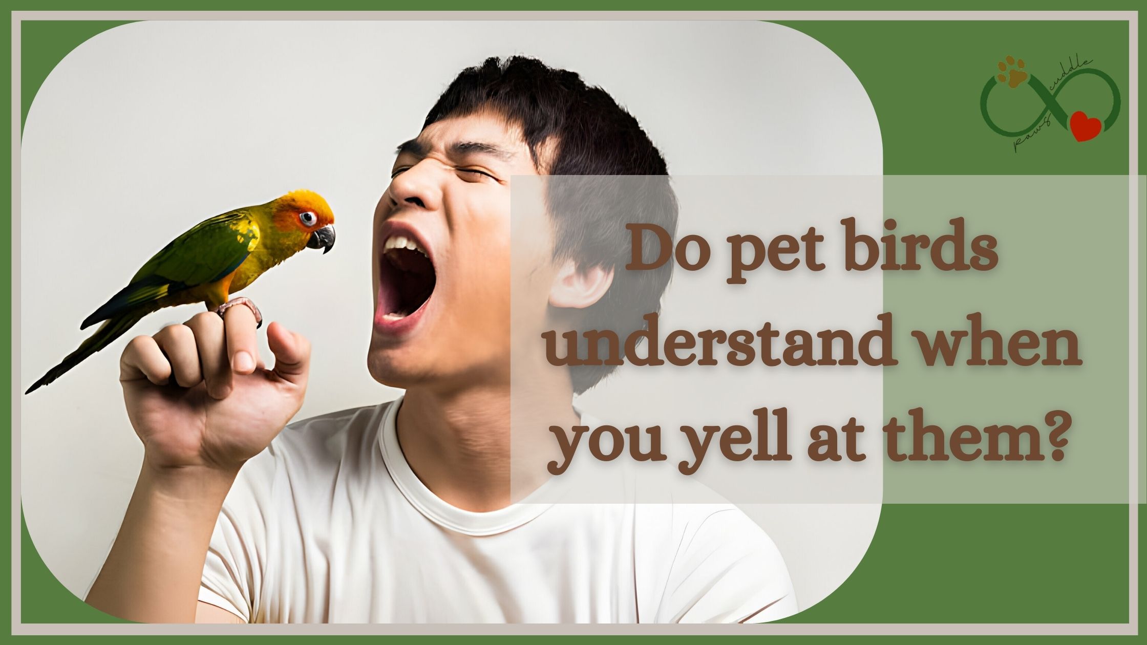 Do pet birds understand when you yell at them?