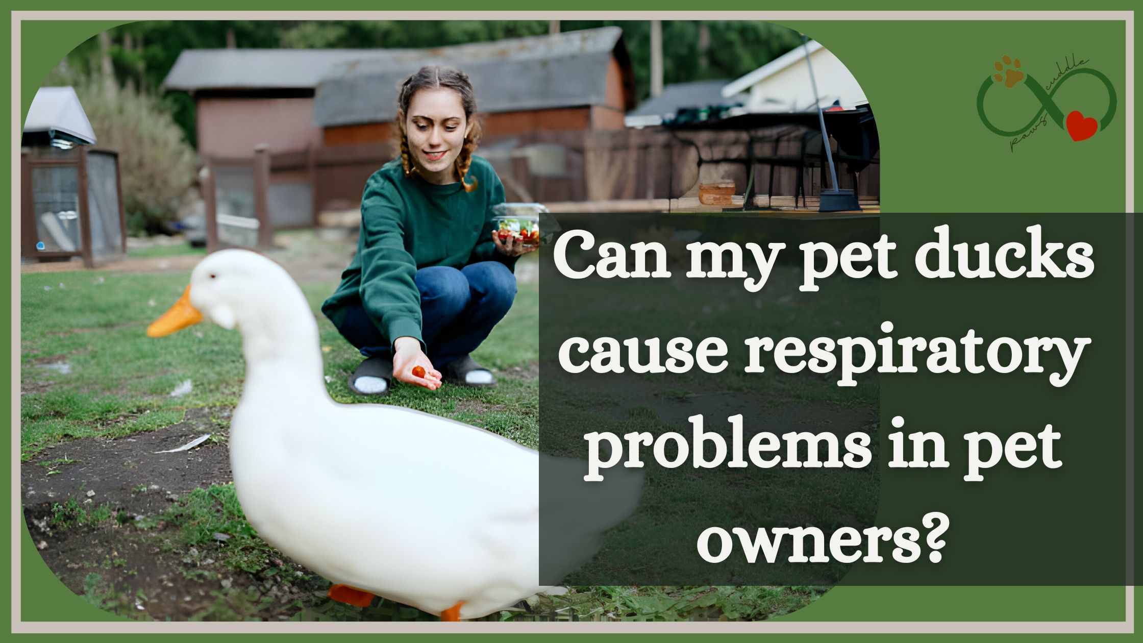 Can my pet ducks cause respiratory problems in pet owners?